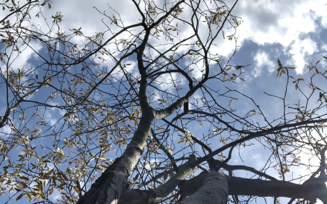 Castle or cottage or something else all together?